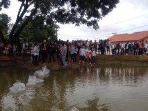 lago joão bedim