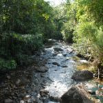 Por meio da campanha Agua Limpara o Rio Olimpico, mais de 3 mil nascentes foram preservadas no estado