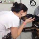 14169537_1172938339444822_1237267886_n