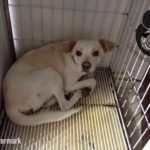 14194208_1172938326111490_1248299625_n