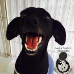 14194409_1172938316111491_1925065090_n