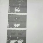 NANDI (7)