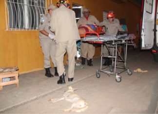 Mulher sofre acidente ao atropelar cachorro em Italva