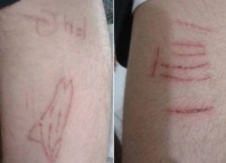 Polícia do Rio investiga 101 denúncias do Baleia Azul