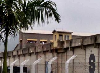 Idosos são agredidos pelo neto em Cambuci