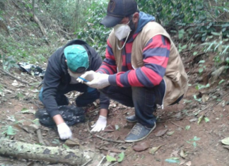 Confirmada a contaminação por febre amarela em Bom Jesus do Itabapoana