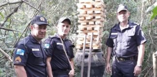 PM realiza a maior apreensão de drogas do ano na RJ 220, em Itaperuna