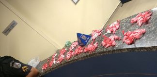 Traficantes trazendo carga de drogas do Rio para Bom Jesus do Itabapoana estão escondidos na região