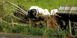Carreta atinge árvore e tomba às margens da RJ 186, Bom Jesus do Itabapoana