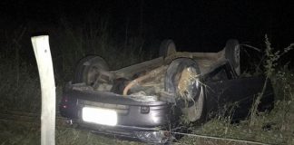 Animal na pista provoca acidentes na RJ-158, em São Fidélis