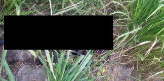 Cadáver é encontrado no Recanto dos Colibris, em Itaperuna