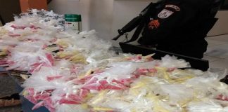 PM apreende grande quantidade de drogas em Porciúncula