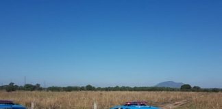 Corpo é encontrado na BR 356, entre Campos e Itaperuna