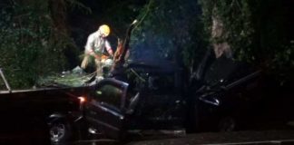 Homem morre após caminhonete bater em árvore na BR-356, em Itaperuna