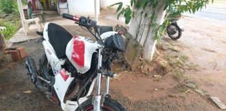 Cavalo na pista provoca acidente entre moto e caminhonete na BR 356, em Italva