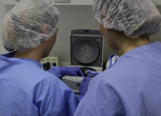 Covid-19: Norte e Noroeste registram 981 mortes