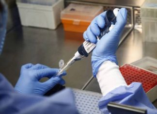 Estado do Rio ultrapassa os 251 mil infectados pelo coronavírus