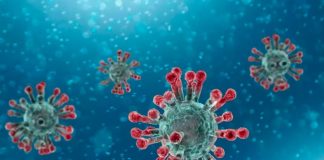 Número de casos confirmados de coronavírus em Itaperuna sobe para cinco