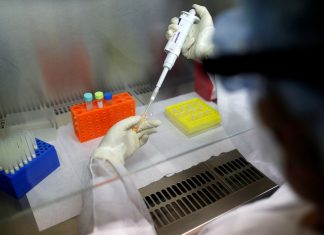 Permanece em 88 o número de mortes por Covid-19 em Itaperuna