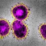 1_coronavirus-16339084