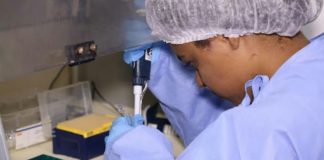 Subiu para quatro o número de casos confirmados de coronavírus em Itaperuna