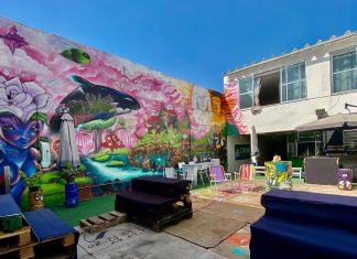 Artistas independentes fazem apresentação especial em live