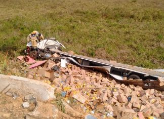 Caminhoneiro morre em acidente na BR 356, Itaperuna