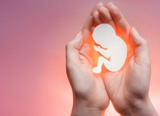 Ministro da Saúde admite alterar regras sobre aborto