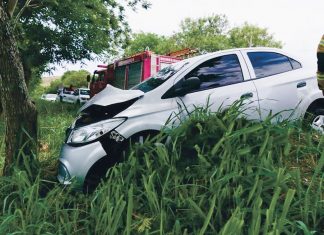 Carro com quatro pessoas bate em árvore na BR-356, em Cardoso Moreira