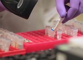 Covid-19: Itaperuna registra 3.759 pessoas recuperadas; número de óbitos permanece em 103