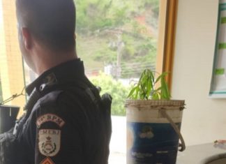 Homem é preso com droga e munições em Natividade