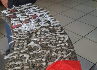 Polícia apreende drogas e munições no Horto Florestal, em Itaperuna