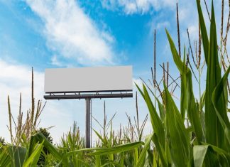 Publicidade Regional: entre os desafios e as oportunidades do interior